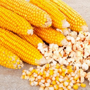Кукуруза Попкорн 1 кг